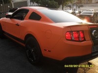 /album/galeria-de-fotos-pagina-inicial/mustang-branco-p-laranja-8-jpg/